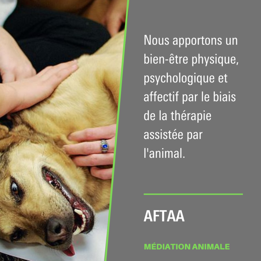 L’association Française de Thérapie Assistée par l’animal
