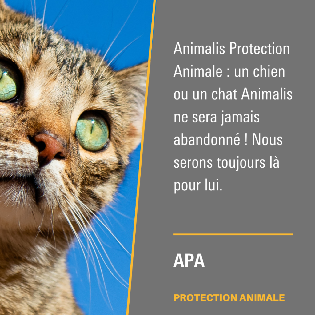 Animalis protection Animale
