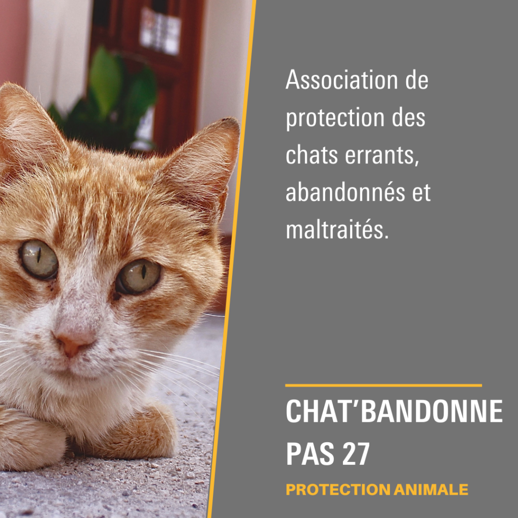 Chat’bandonne pas 27