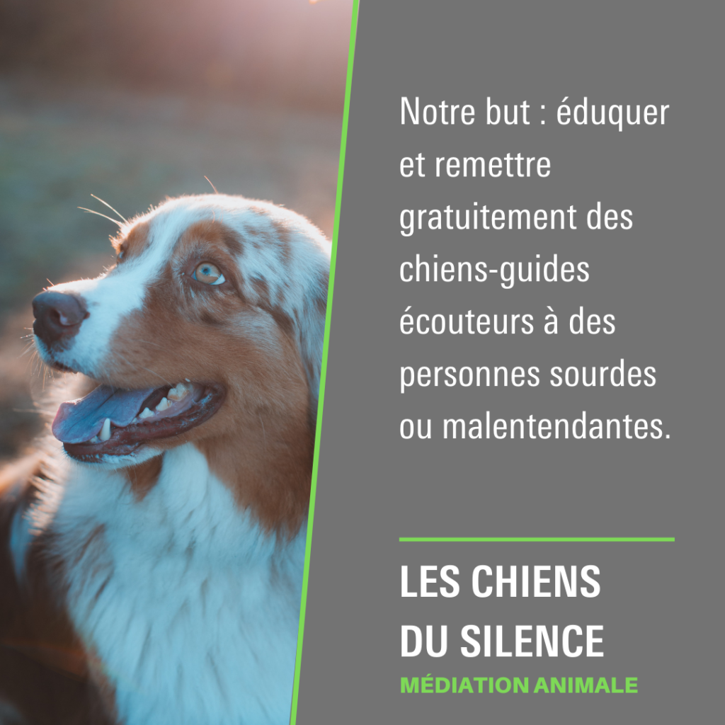 Les Chiens du Silence