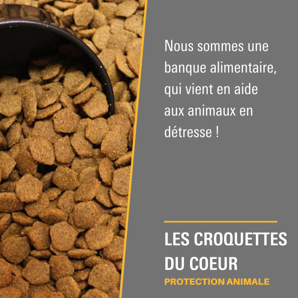 Les Croquettes de Coeur