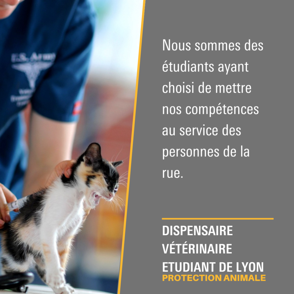 Dispensaire Vétérinaire Étudiant