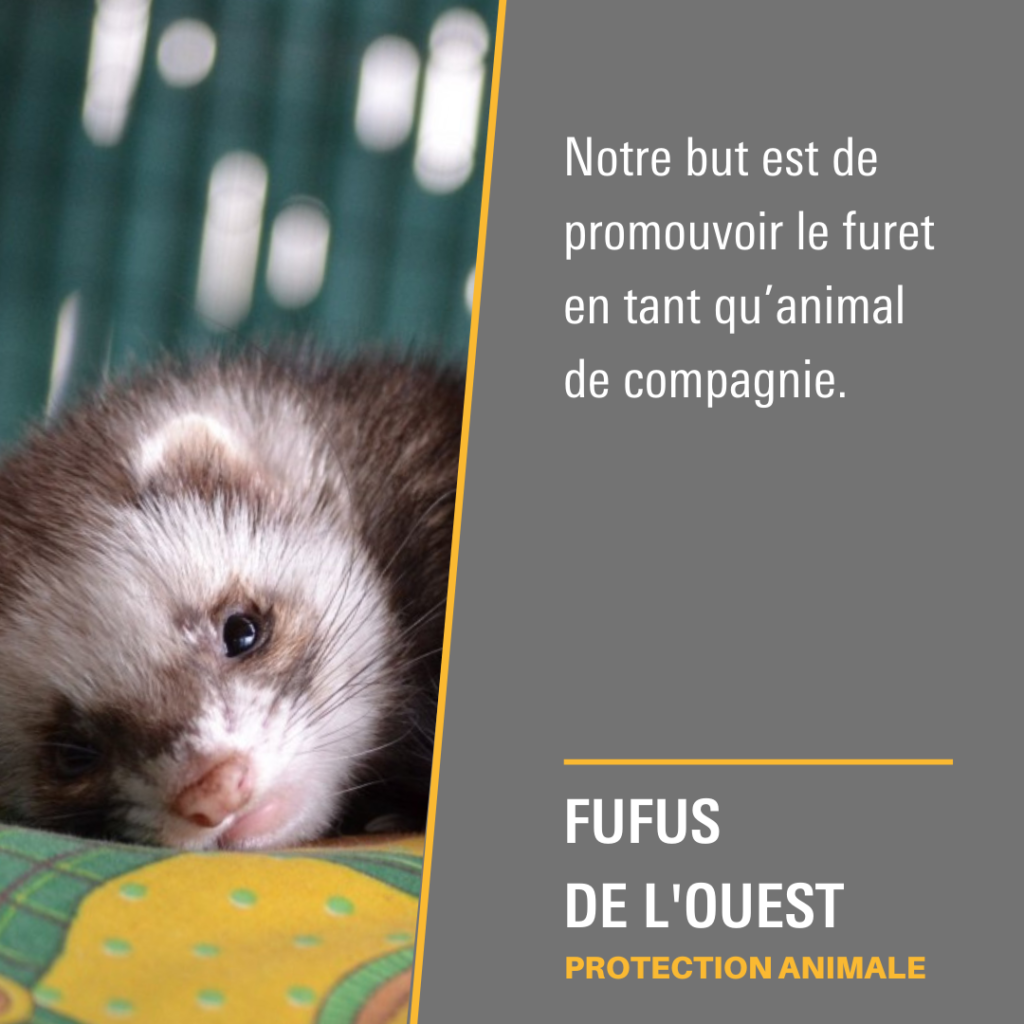 Les Fufus de l’Ouest