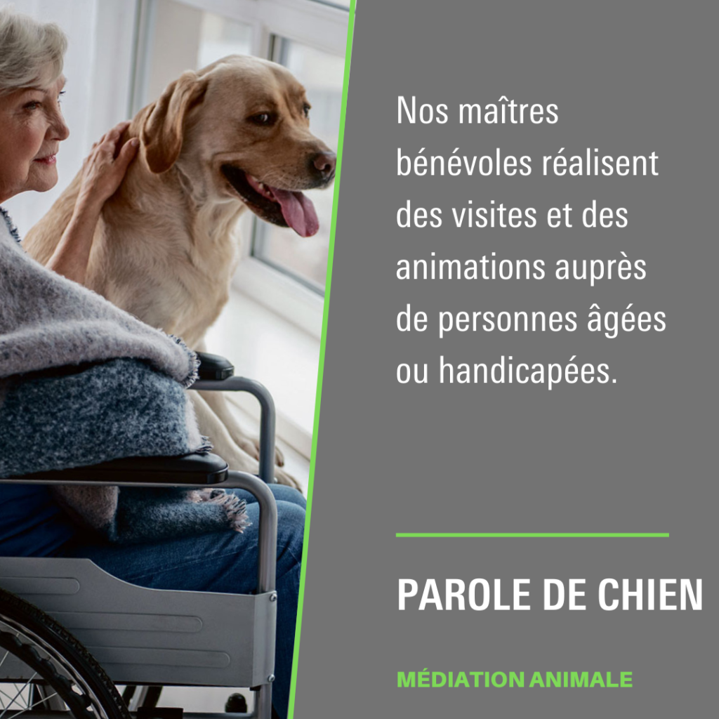 Parole de Chien