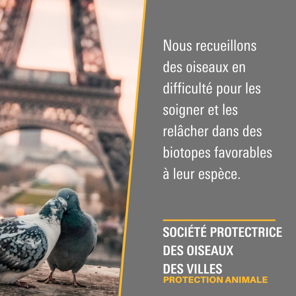 Société Protectrice des Oiseaux des Villes