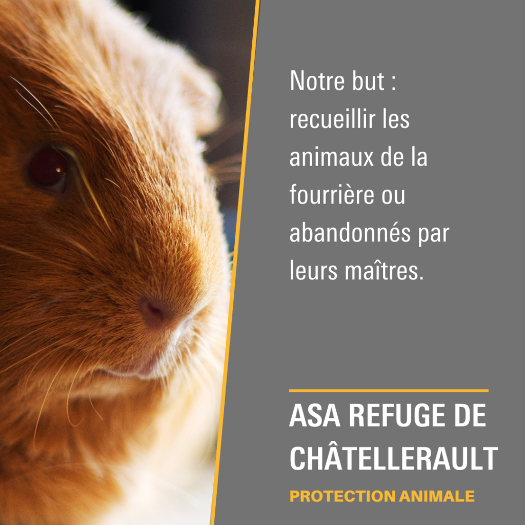 Refuge ASA de Châtellerault