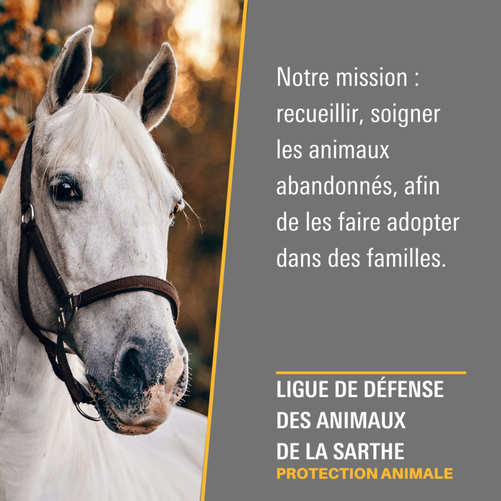 Ligue de Défense des Animaux de la Sarthe