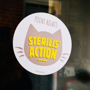 POINT RELAIS STERILIS ACTION