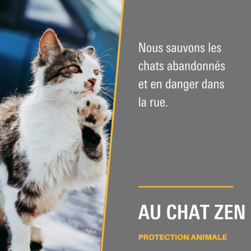 Au Chat Zen