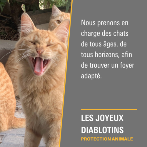 Les Joyeux Diablotins